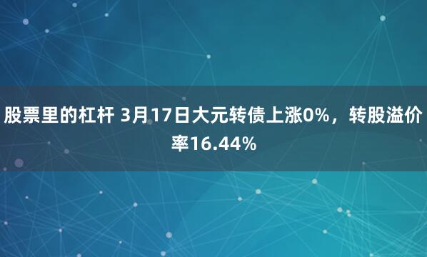股票里的杠杆 3月17日大元转债上涨0%，转股溢价率16.44%
