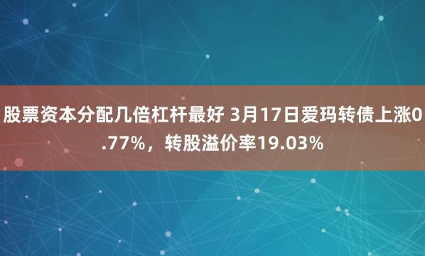 股票资本分配几倍杠杆最好 3月17日爱玛转债上涨0.77%，转股溢价率19.03%