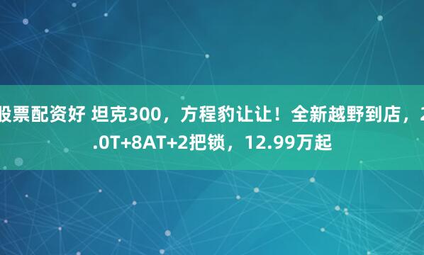 股票配资好 坦克300，方程豹让让！全新越野到店，2.0T+8AT+2把锁，12.99万起