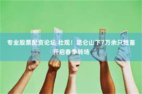 专业股票配资论坛 壮观！昆仑山下7万余只牲畜开启春季转场