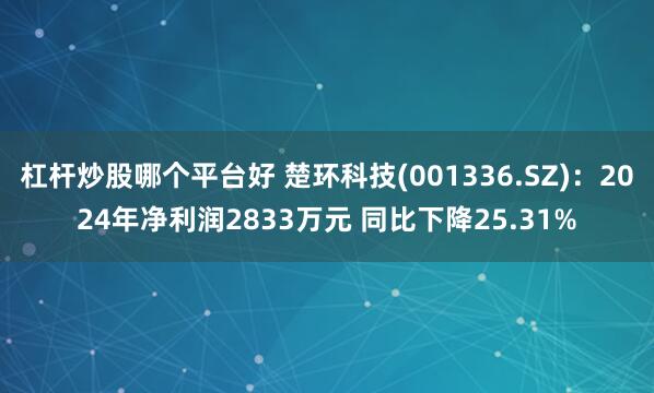 杠杆炒股哪个平台好 楚环科技(001336.SZ)：2024年净利润2833万元 同比下降25.31%