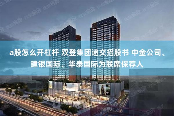 a股怎么开杠杆 双登集团递交招股书 中金公司、建银国际、华泰国际为联席保荐人