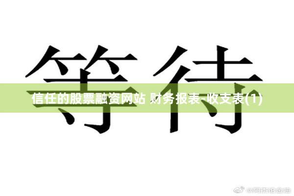 信任的股票融资网站 财务报表-收支表(1)
