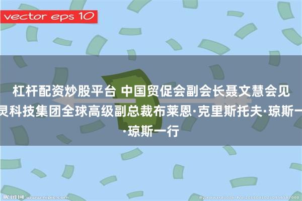 杠杆配资炒股平台 中国贸促会副会长聂文慧会见特灵科技集团全球高级副总裁布莱恩·克里斯托夫·琼斯一行